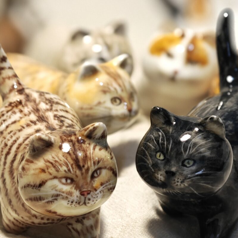 Chat personnalisé